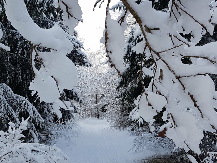 Winter snow