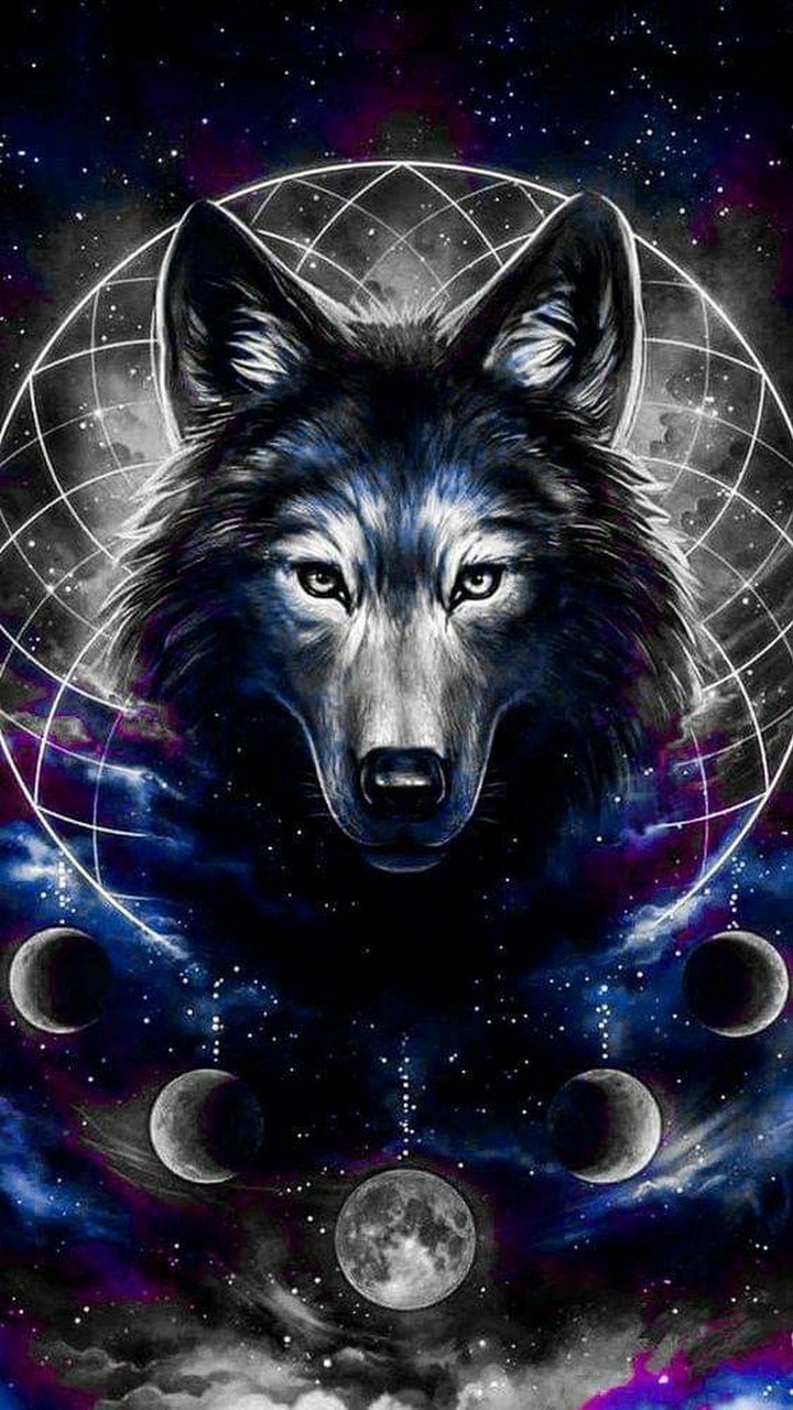 wolf 1