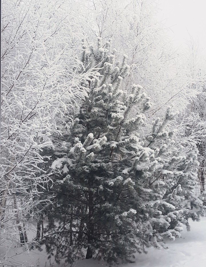 Зима