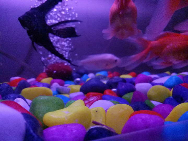 Colorful