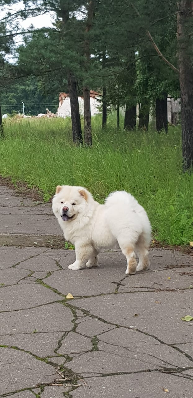 Мой Ирвясик?