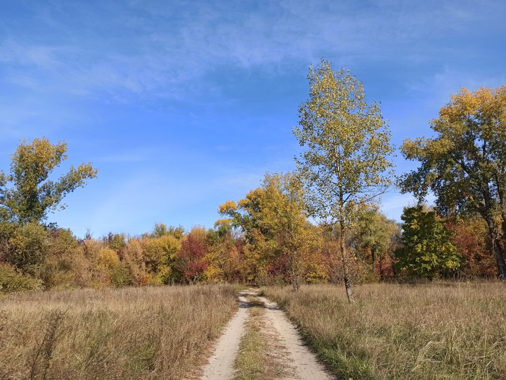 autumn