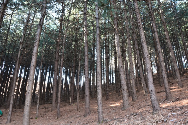 풍경이미지