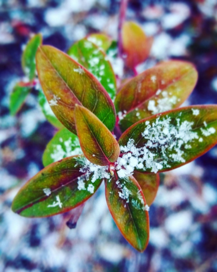 winter