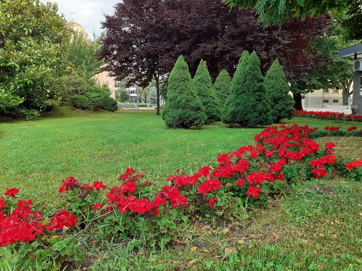 park