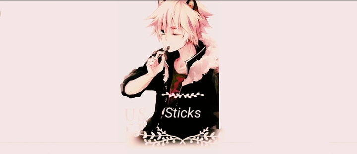 Sticks