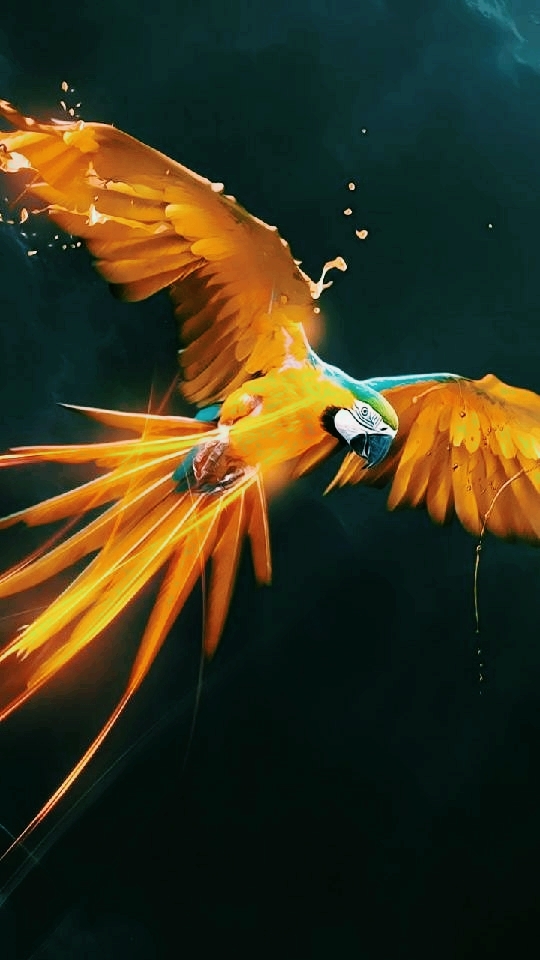 Parrot