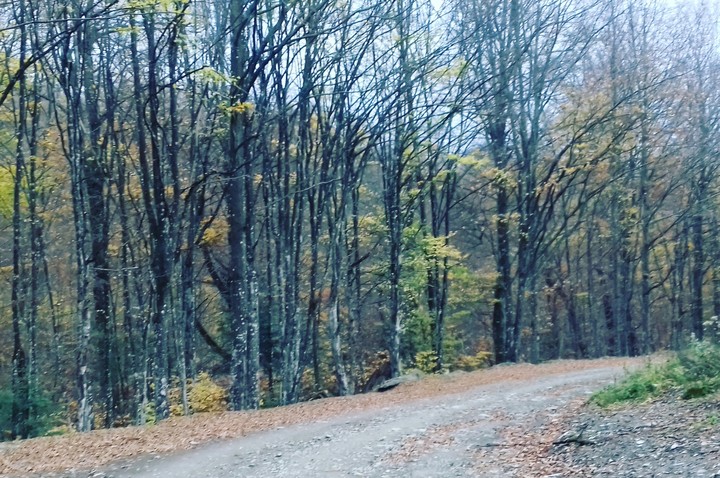 біля дороги