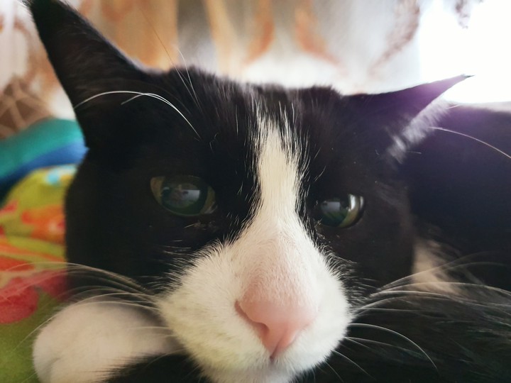 sweet one