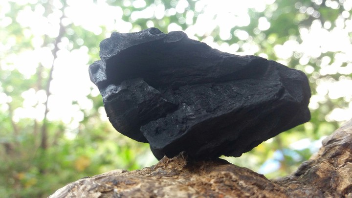 Koyla