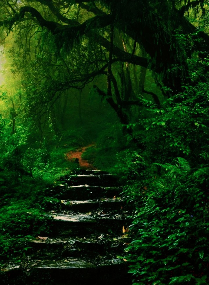 nature