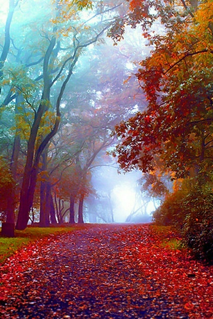 Colour