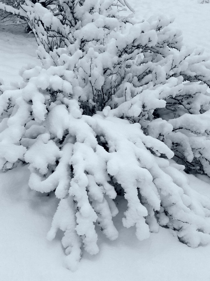 Зима!!!❄❄❄