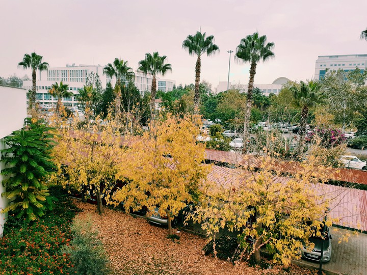 autumn