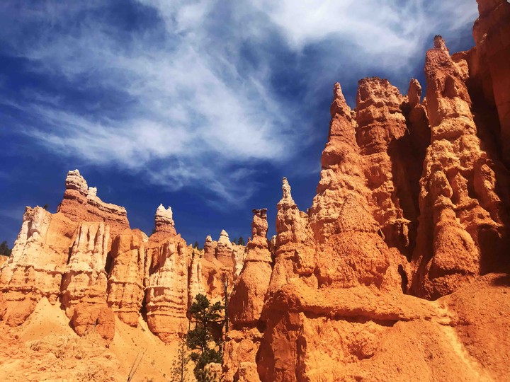 Bryce 1