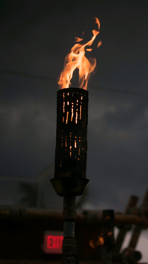 TORCH