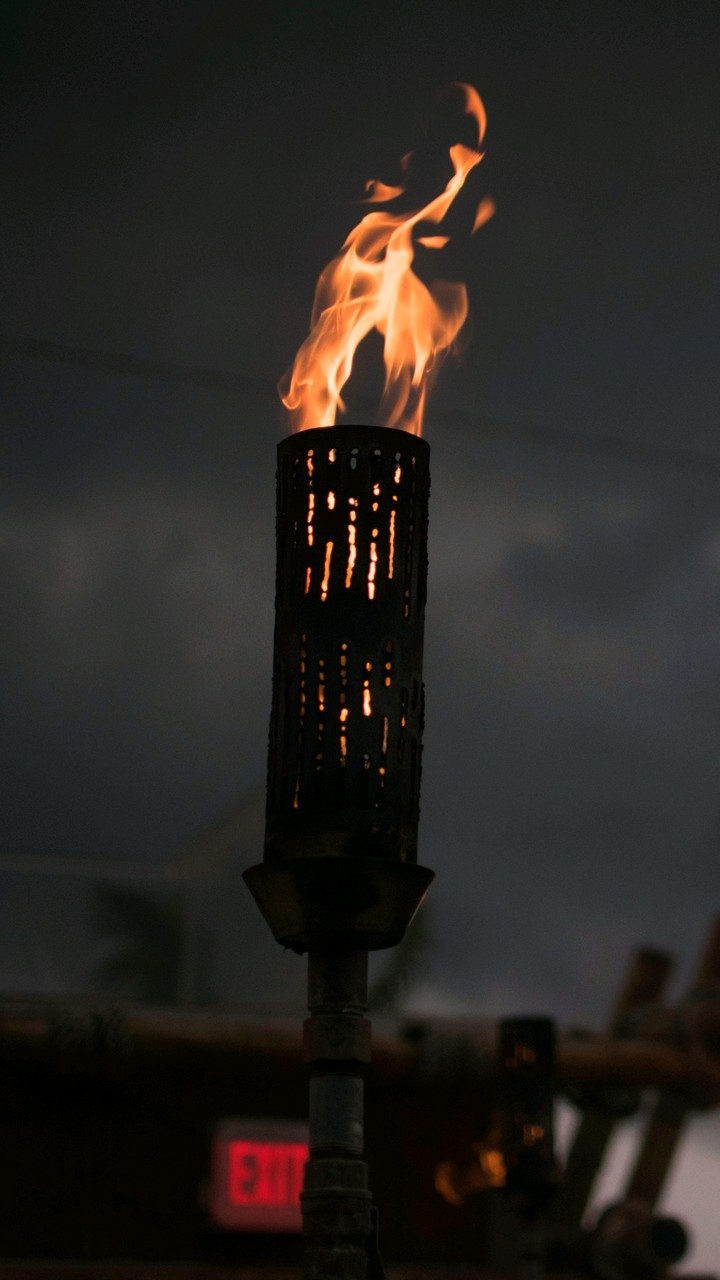 TORCH