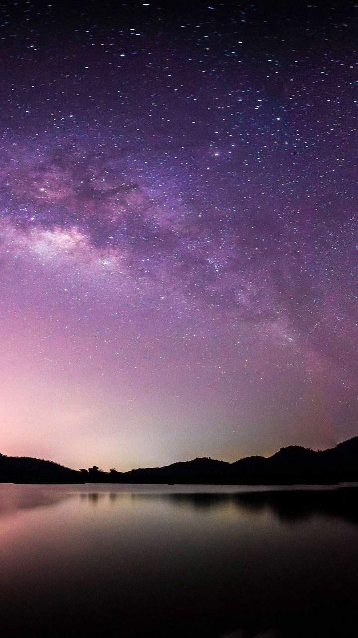 cosmos