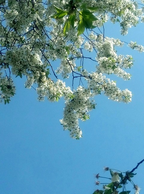 sky