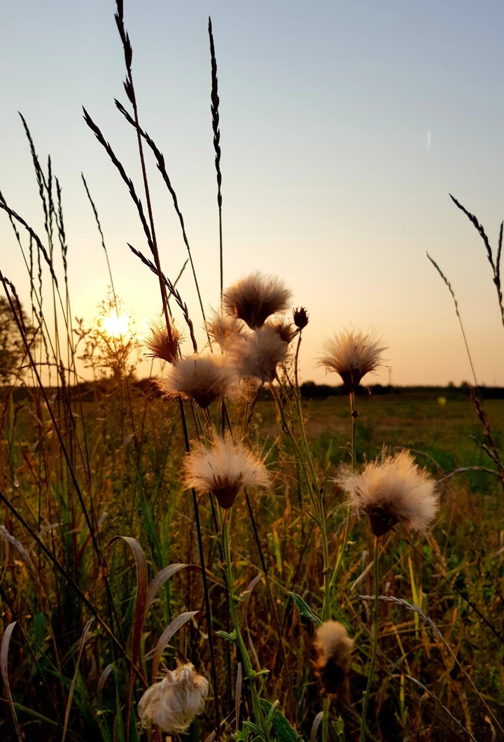 Abendspaziergang