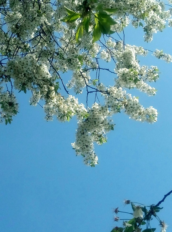 sky