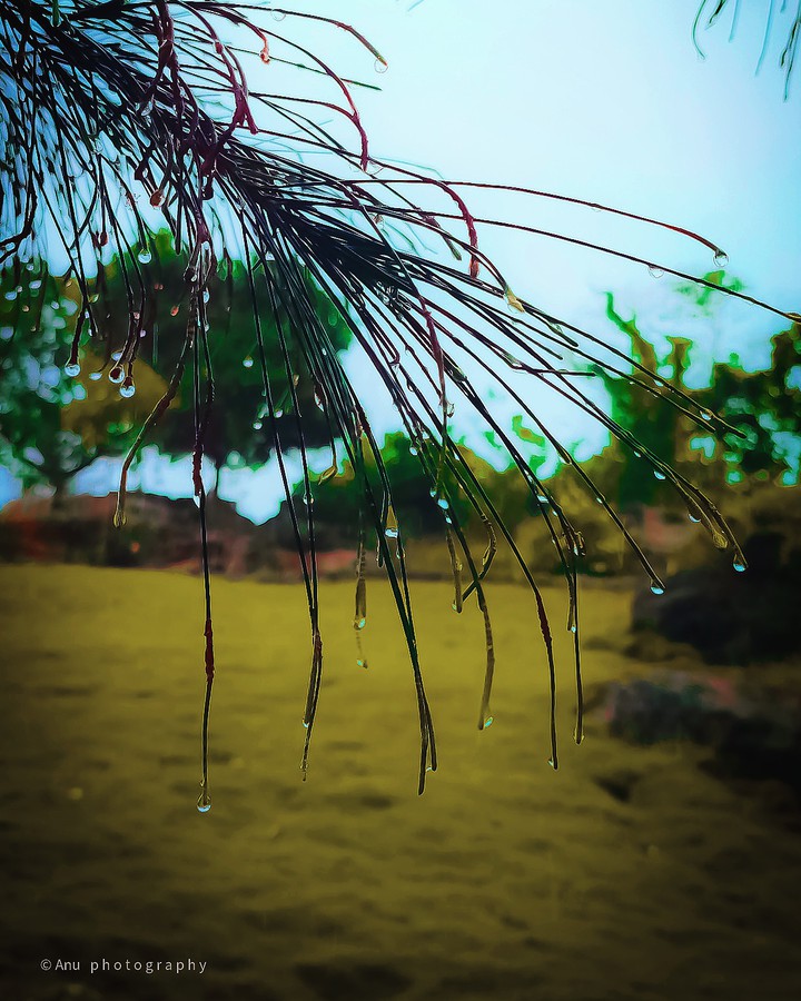 rainy day