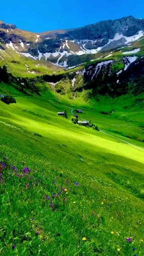 Swiss Landscape ?️