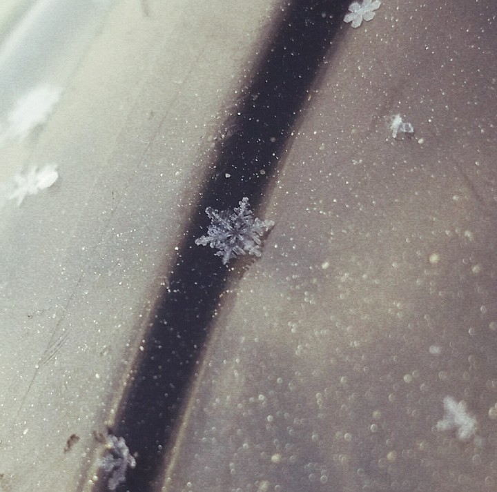 snowflakeee