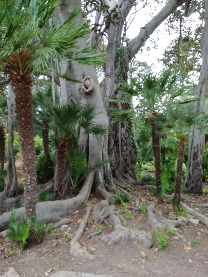 Natura....