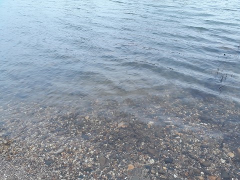 Just Water