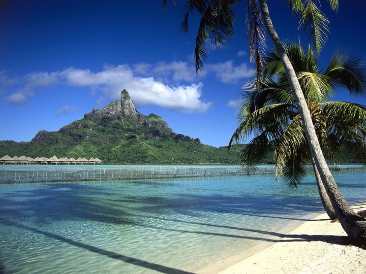 verão