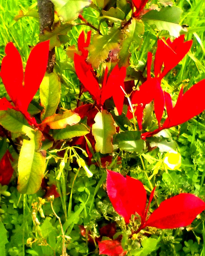 spring message