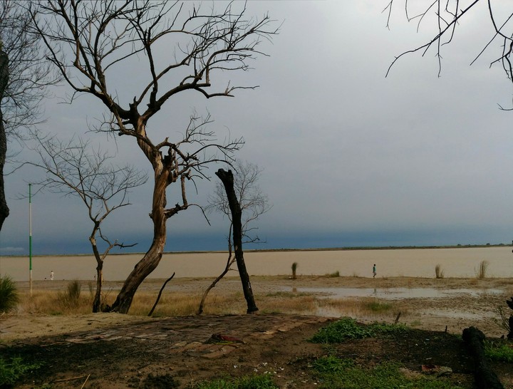 River Bank