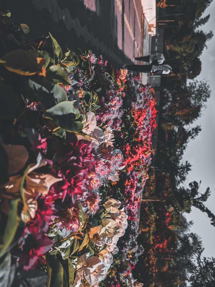 flowers is love