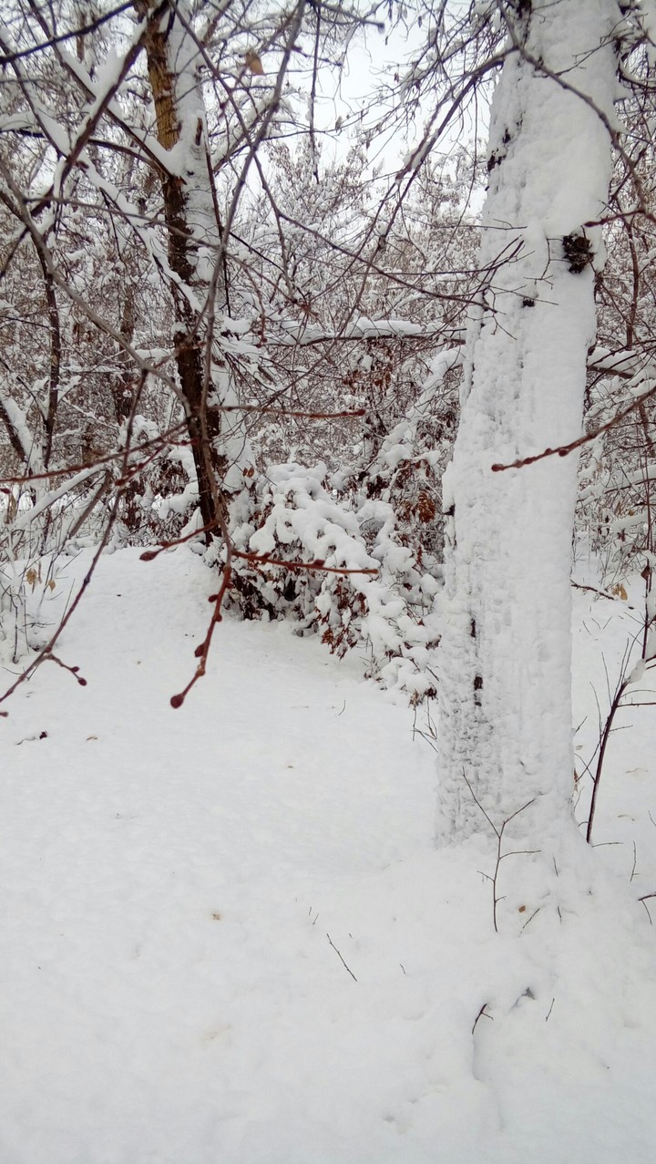зима❄