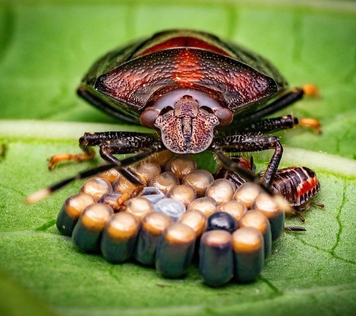 INTRESTED PIC
