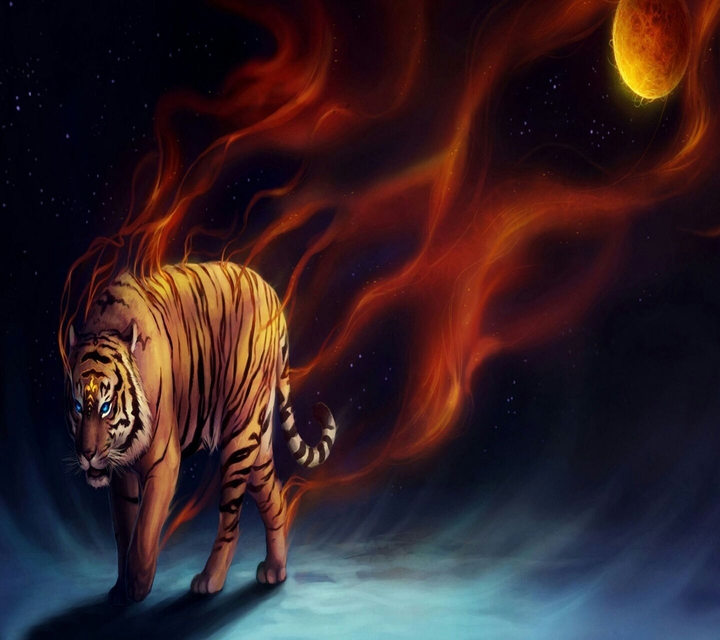 tiger with blue eye's
