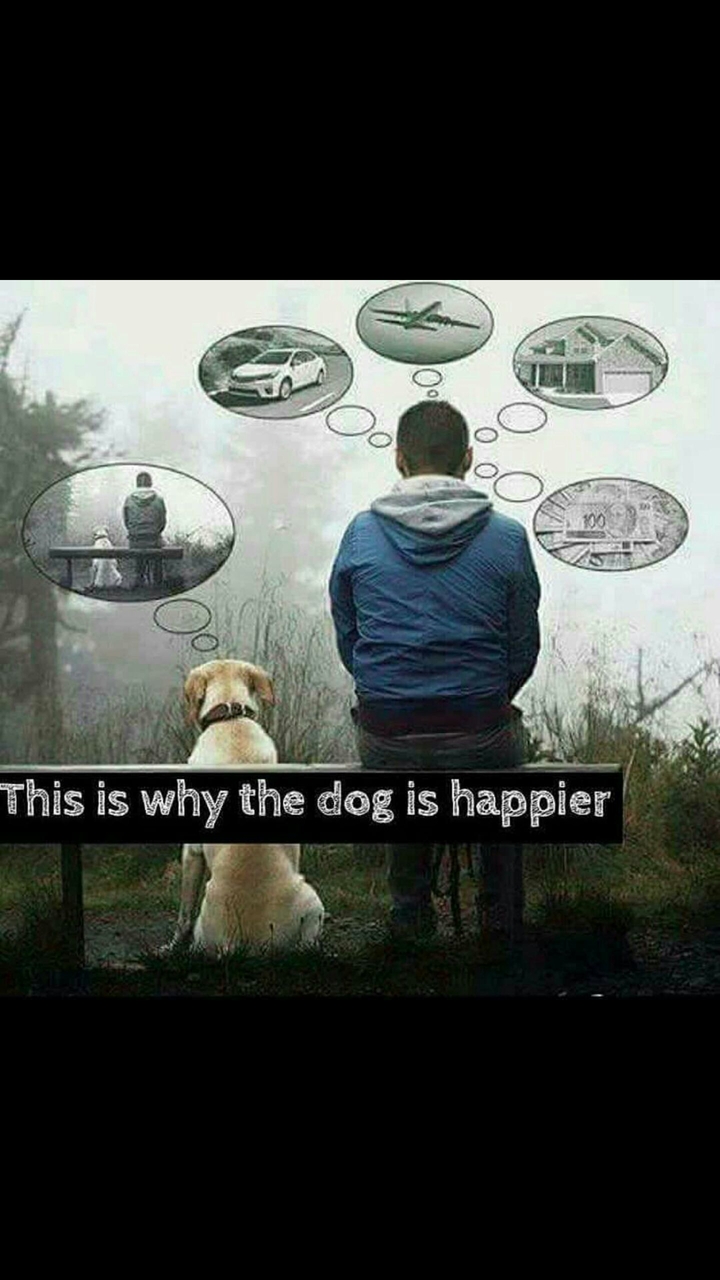 Real Happiness