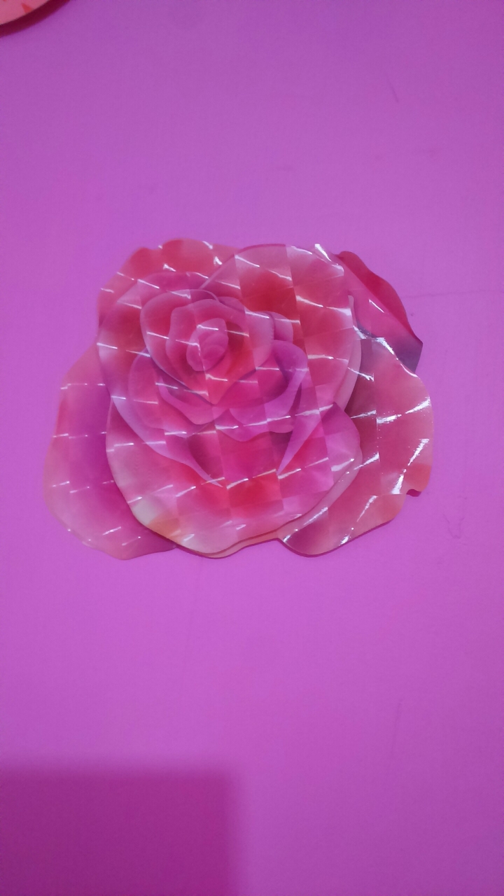 rose