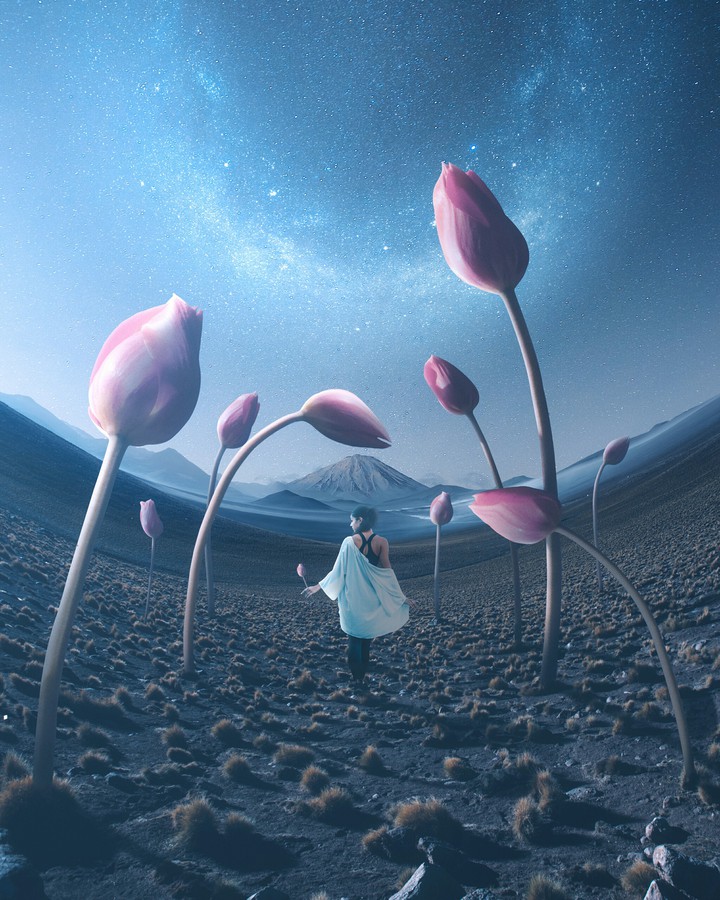 fantasy