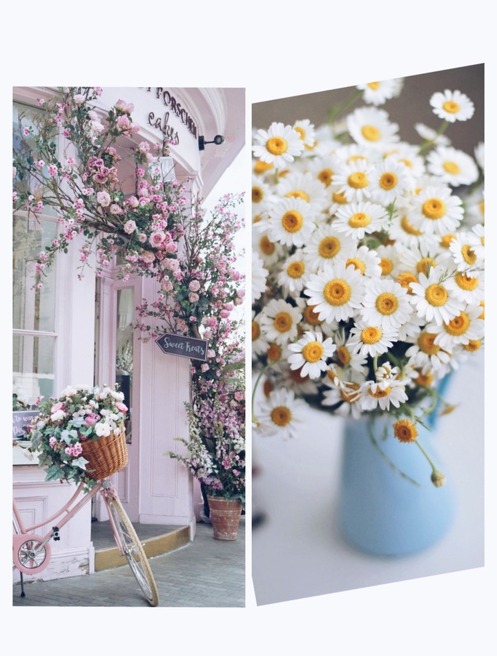 beautiful ❤️ flowers with spring