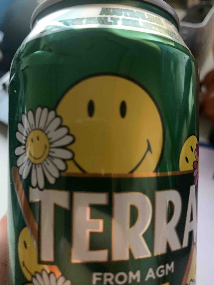 Korean beer TerRa