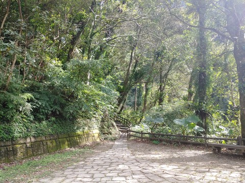 landscape, groundcover वॉलपेपर