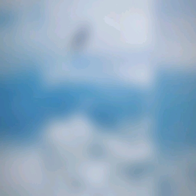 Captured during last flight