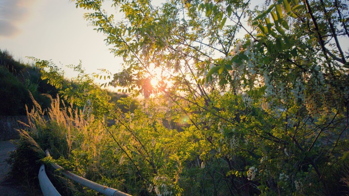 Stunning sun