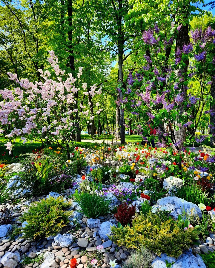 spring