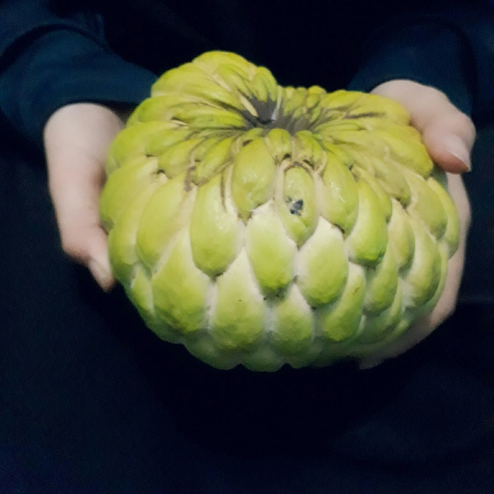fruit