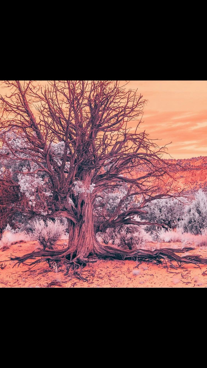 #art