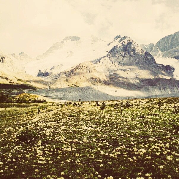 altai