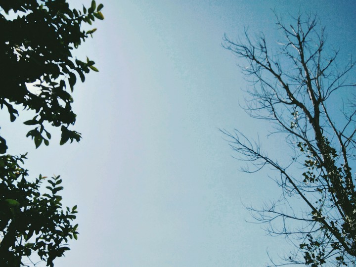 Blue Sky